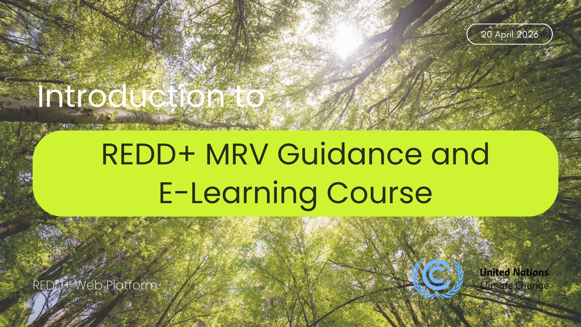 Webinar logo - MRV