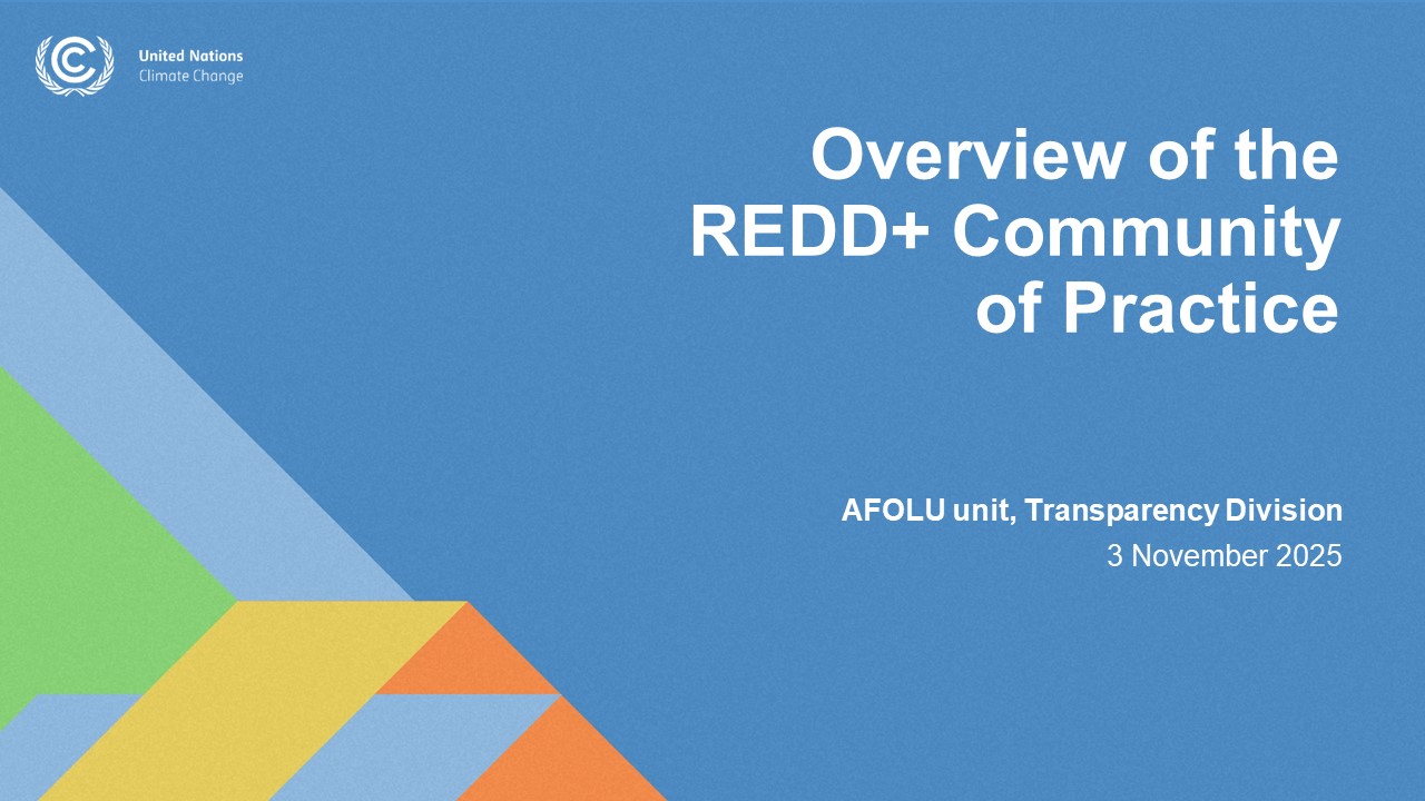 REDD+ webinar_REDD+ Community of Practice