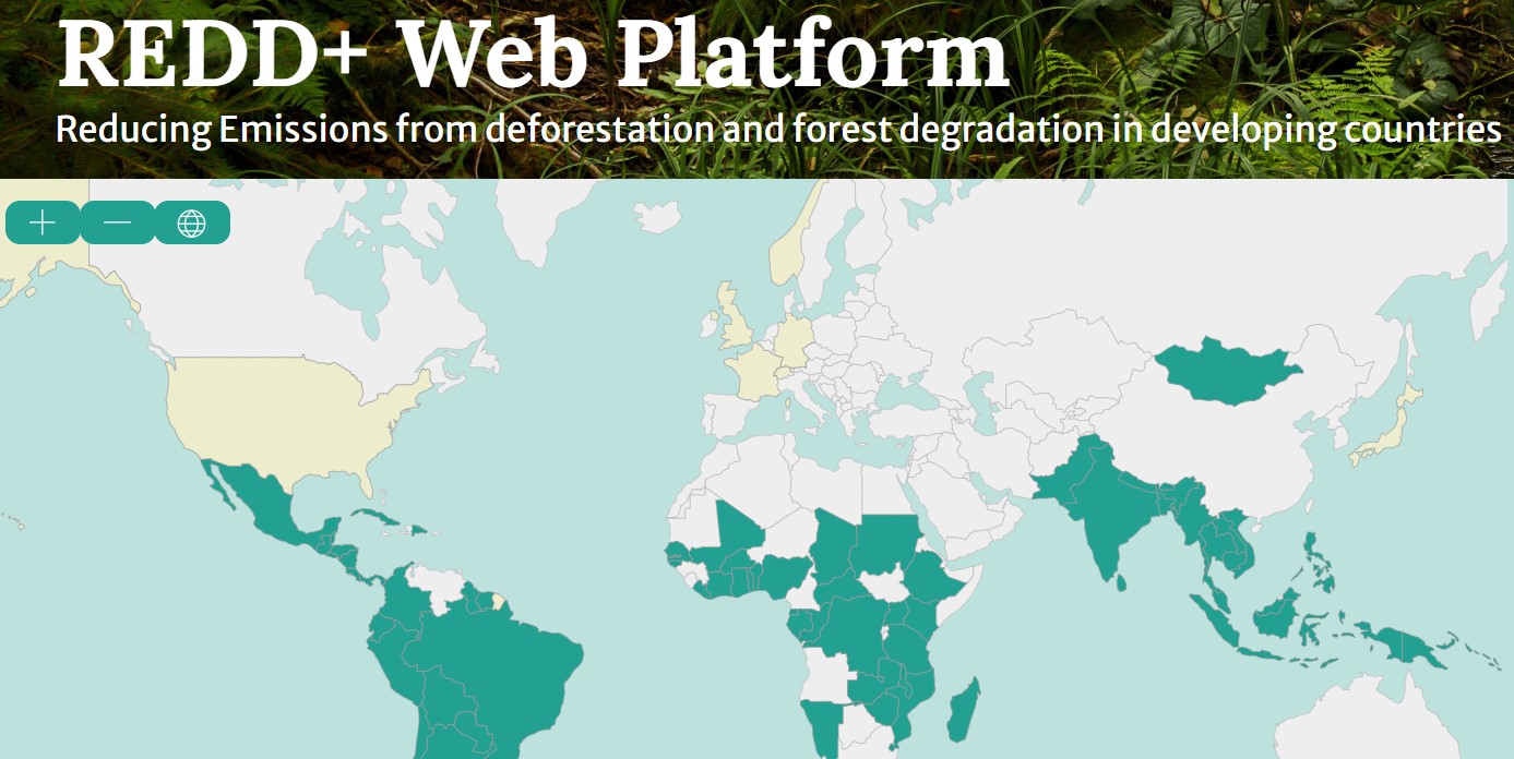 REDD+ Web Platform - HOME page