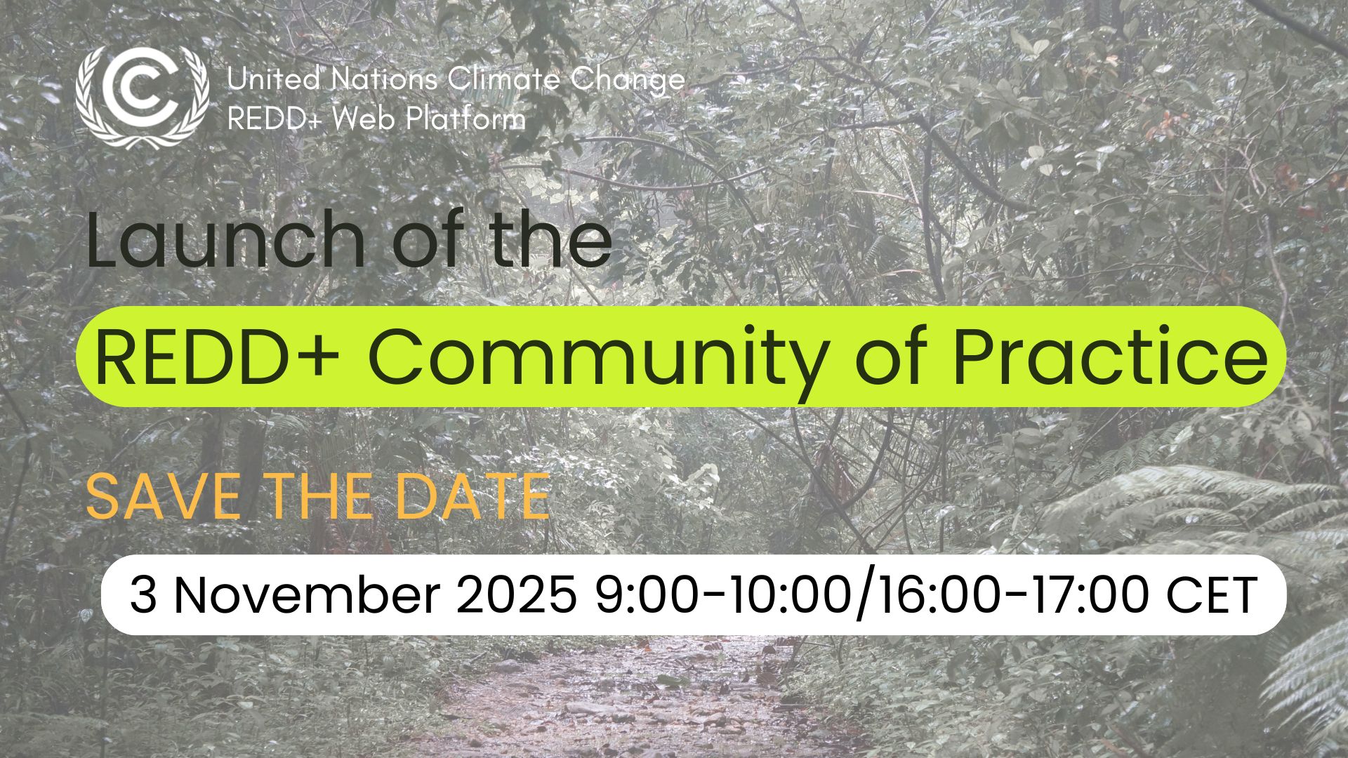 REDD+ Webinar logo (3 Nov 2025)